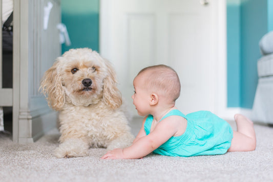 Neonati e animali domestici: i benefici di un’allegra convivenza - FlyIdeas